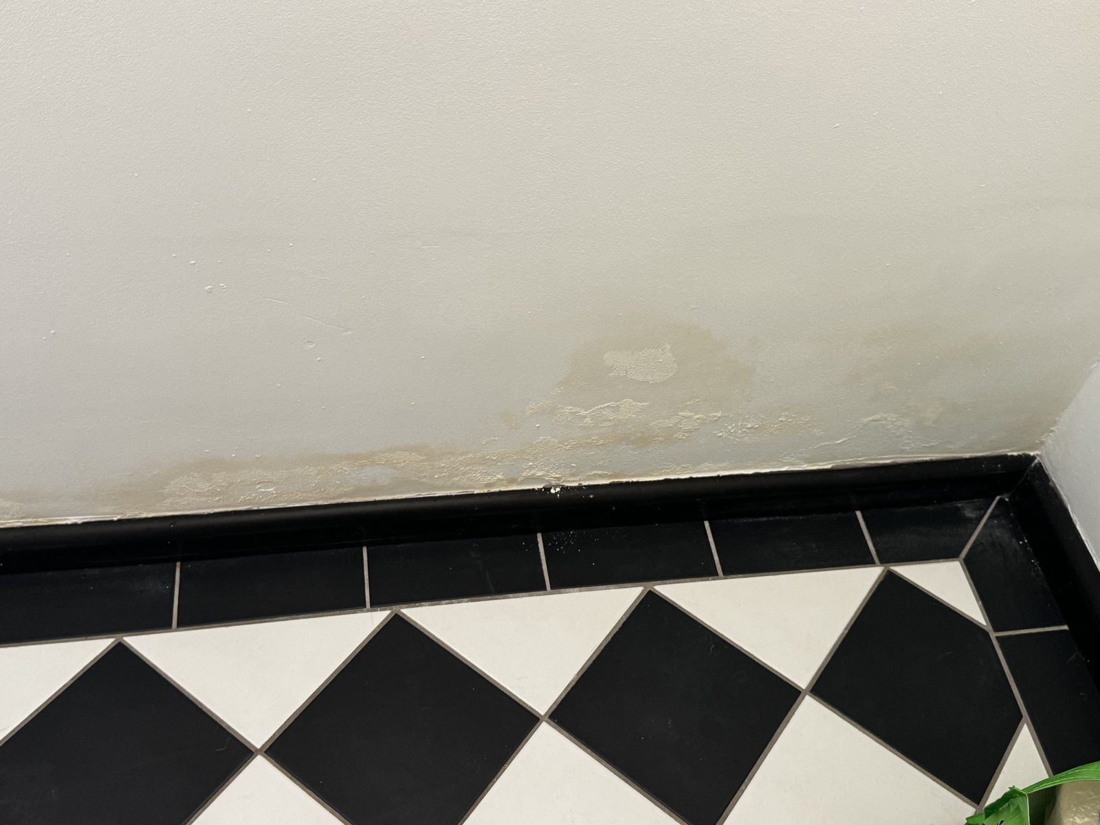 Peeling and blistering paint above the skirting on the other side of the repaired bathroom wall